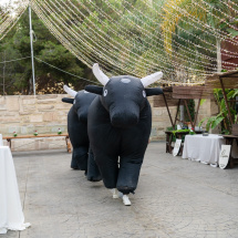 2025_Is_Cell_San_Fermin_097