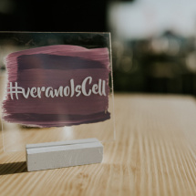 Is_Cell_Is_Summer_004