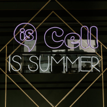 Is_Cell_Is_Summer_006