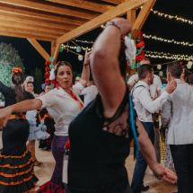 Is_cell_Feria_De_Abril_278