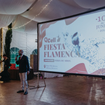 Is_cell_Feria_De_Abril_311