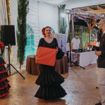 Is_cell_Feria_De_Abril_360