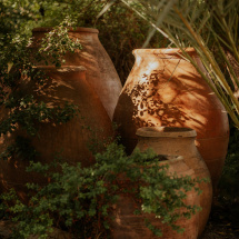 isCellJardines-10227