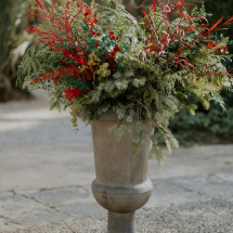 isCellJardines-10286
