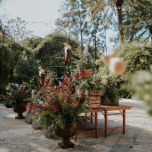 isCellJardines-10292