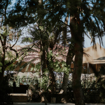 isCellJardines-10311