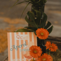 Is_Cell_20_aniversario_018